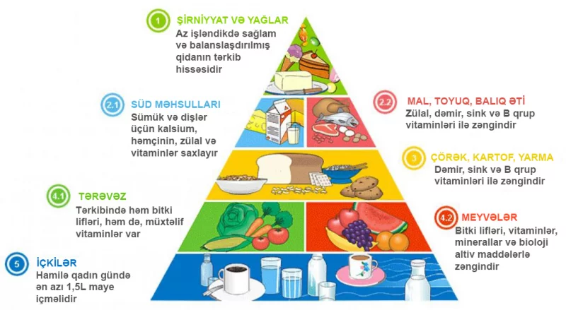 FOTO: Hamilənin qida piramidası