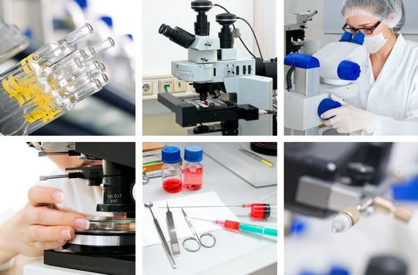 FOTO: Sitomeqalovirus infeksiyasının əsas diaqnostika üsulu İFA-dır