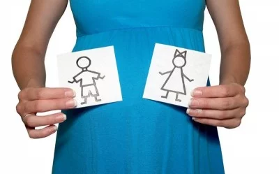 Uşağın cinsinin hesablanması – Çin təqvimi