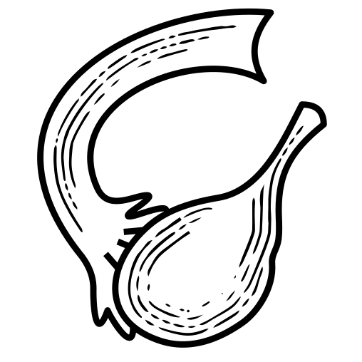 Hormonal pozğunluqlar